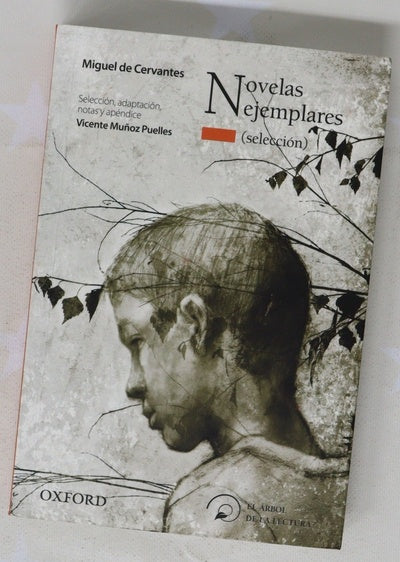 Novelas ejemplares (selección)