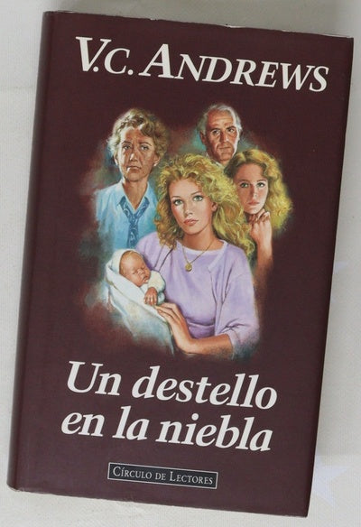 Un destello en la niebla