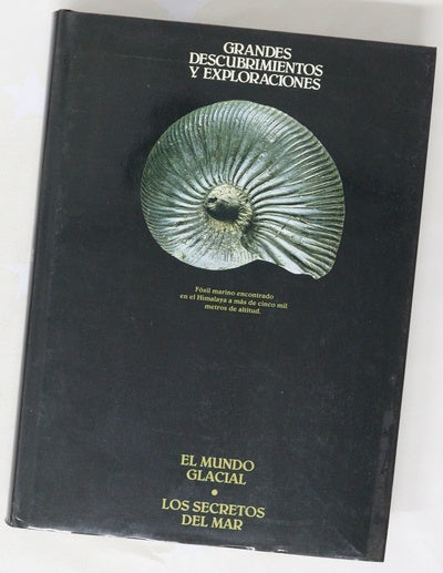 Grandes descubrimientos y exploraciones VIII