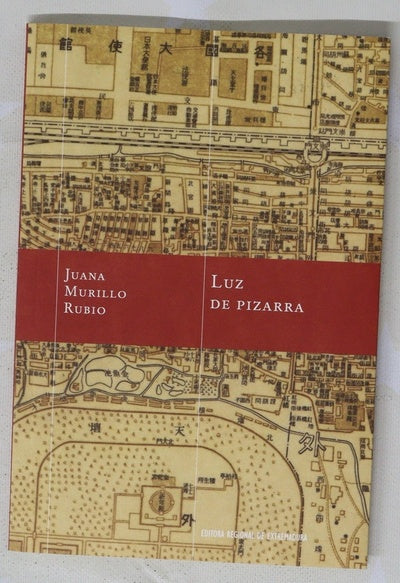 Luz de pizarra : memoria contra el tiempo retenido