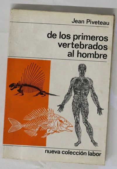 De los primeros vertebrados al hombre