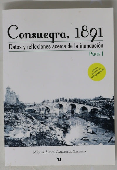 Consuegra, 1891 : datos y reflexiones acerca de la inundación