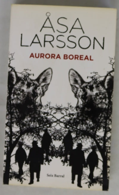 Aurora boreal