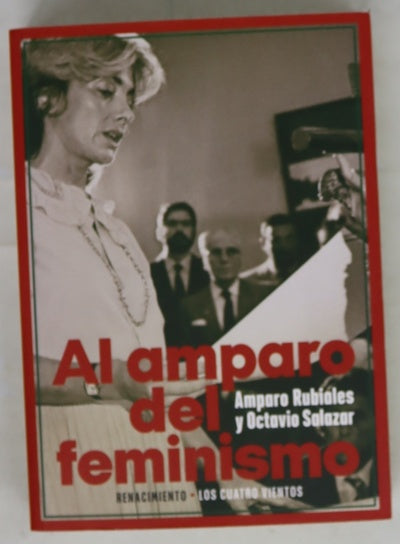 Al amparo del feminismo : conversaciones entre Amparo Rubiales y Octavio Salazar