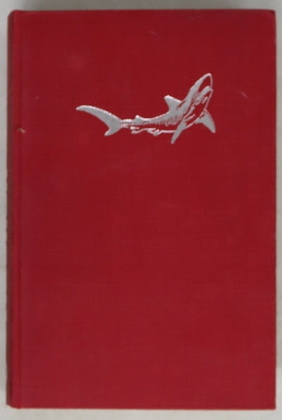 Tiburón