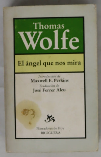 El angel que nos mira