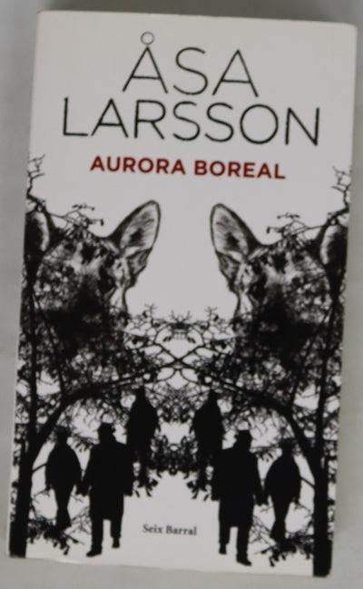 Aurora boreal