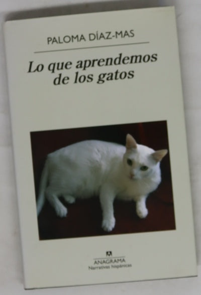 Lo que aprendemos de los gatos