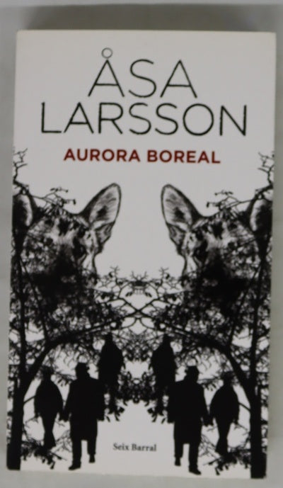 Aurora boreal