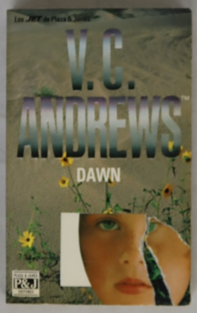 Dawn