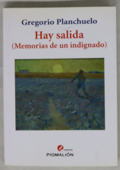 Hay salida : (memorias de un indignado)