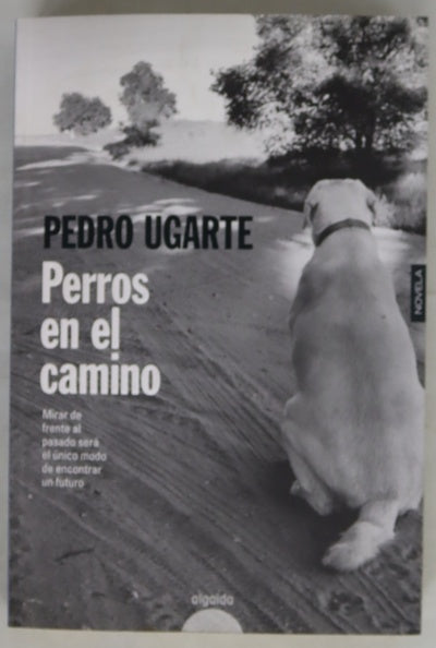 Perros en el camino