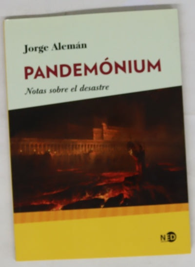 Pandemónium : notas sobre el desastre