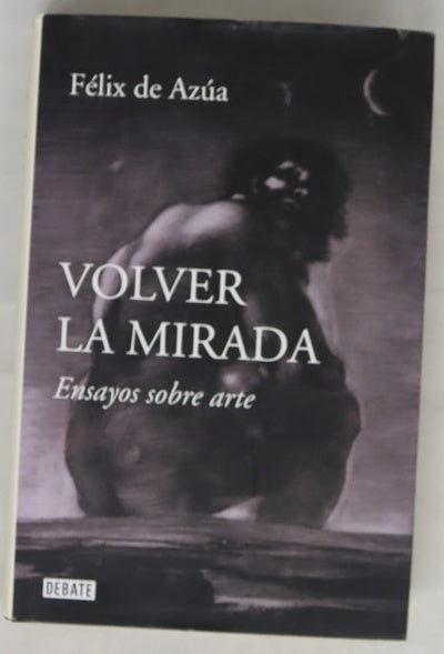 Volver la mirada : ensayos sobre arte