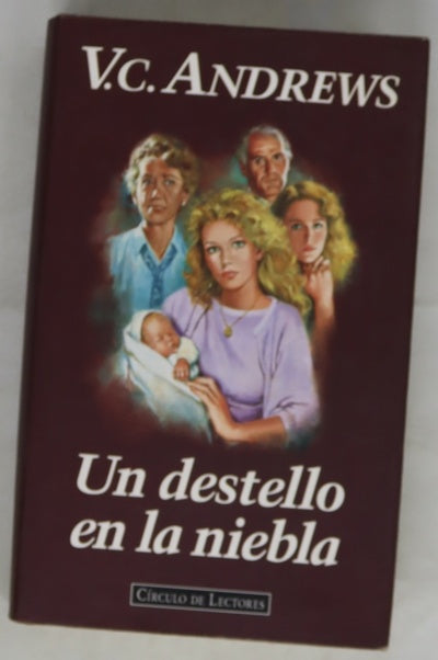 Un destello en la niebla