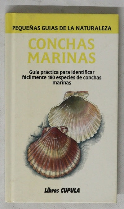 Conchas marinas