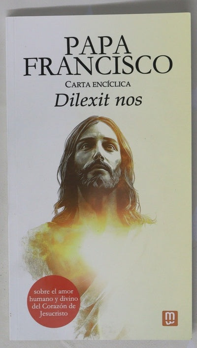 Papa Francisco Carta encíclica