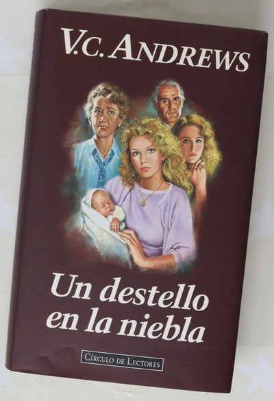 Un destello en la niebla
