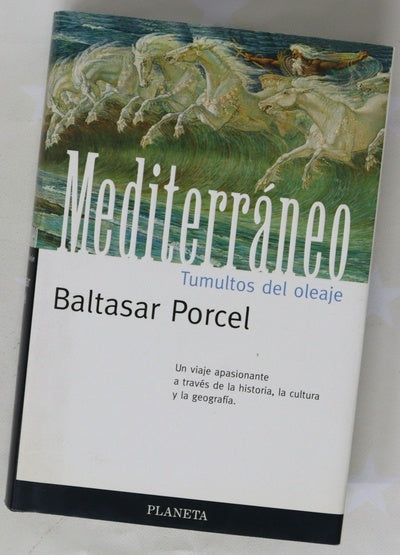 Mediterráneo, tumultos del oleaje