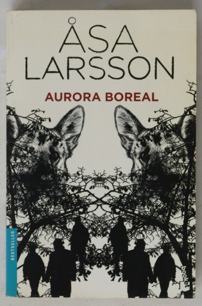 Aurora boreal
