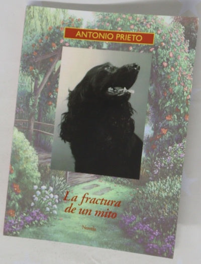 La fractura de un mito : novela