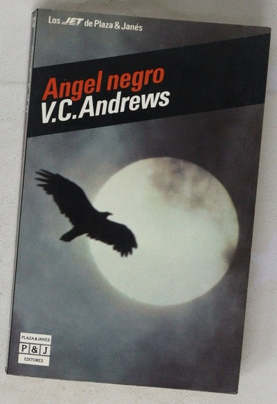 Ángel negro
