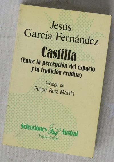 Castilla : (entre la percepción del espacio y la tradición erudita)
