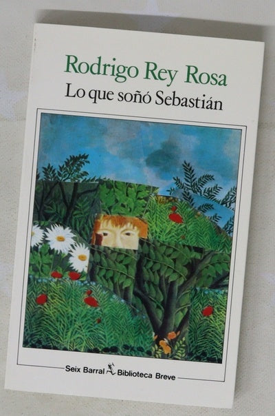 Lo que soñó Sebastián