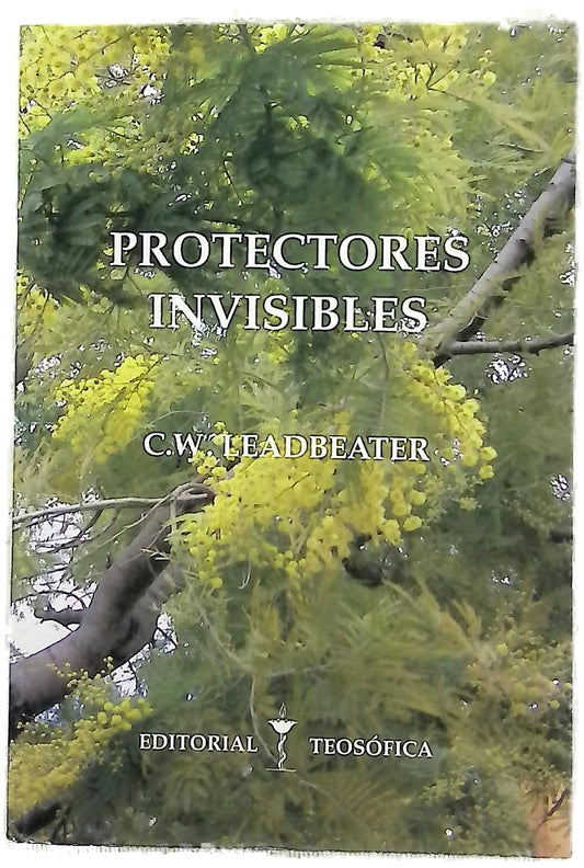 Protectores invisibles