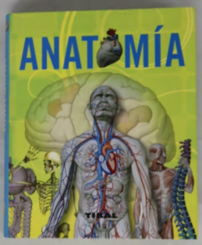 Anatomí
