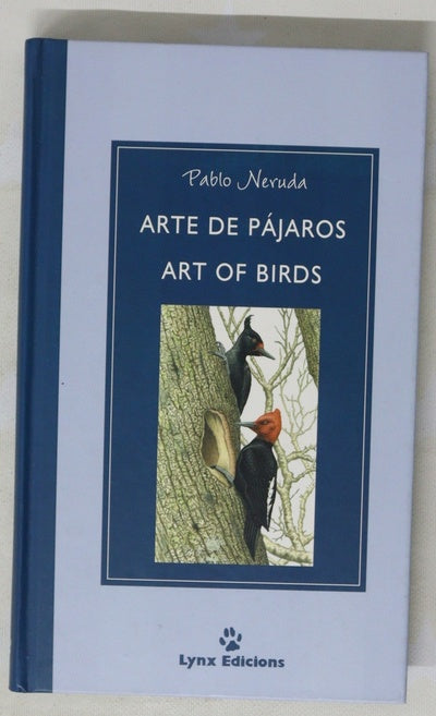Arte de pájaros