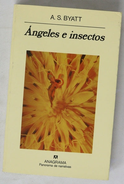 Ángeles e insectos