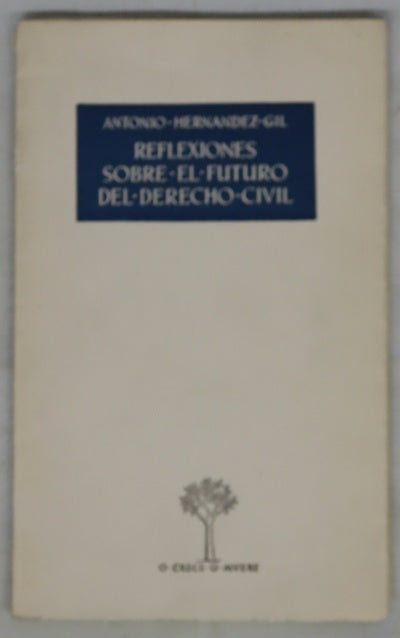 Reflexiones sobre el futuro del Derecho Civil [Conferencia]