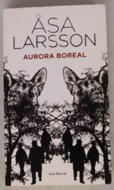 Aurora boreal