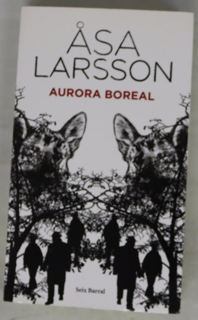 Aurora boreal