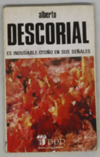 Es indudable otoño en sus señales