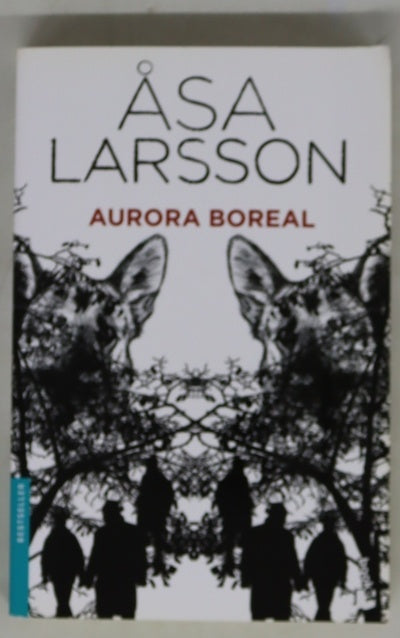 Aurora boreal