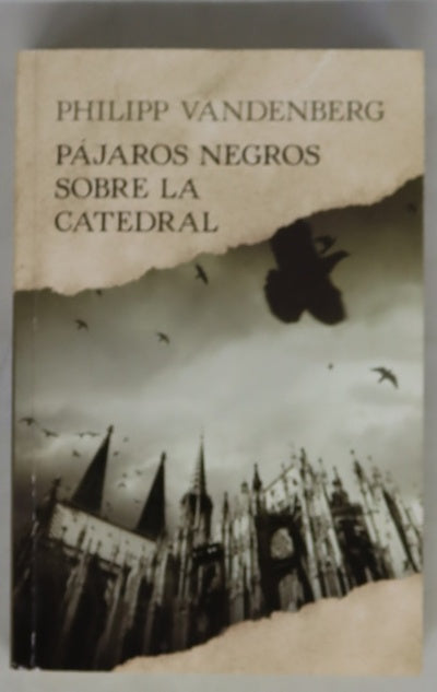 Pájaros negros sobre la catedral