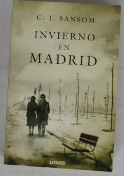 Invierno en Madrid