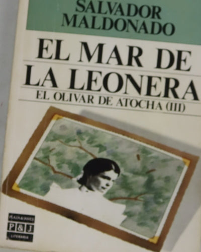 El mar de la leonera