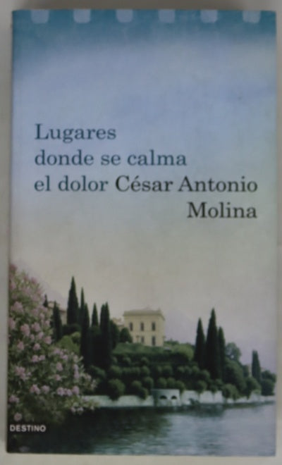 Lugares donde se calma el dolor