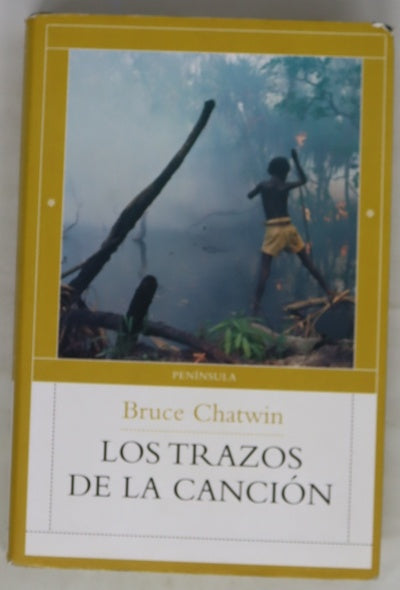 Los trazos de la canción