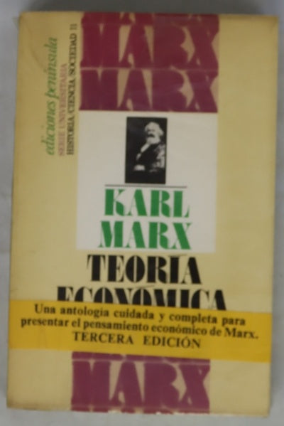 Teoría económica
