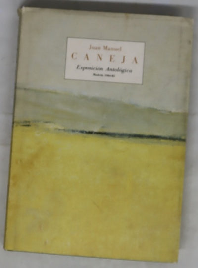 Juan Manuel Caneja exposición antológica, Madrid, 1984-85