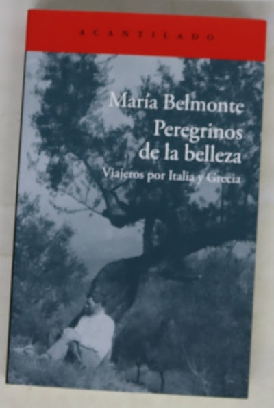 Peregrinos de la belleza : viajeros por Italia y Grecia