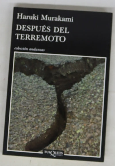 Después del terremoto