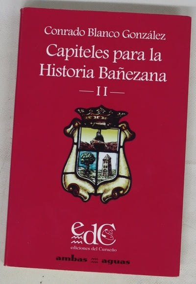 Capiteles para la historia bañezana, tomo II