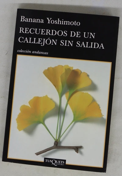 Recuerdos de un callejón sin salida