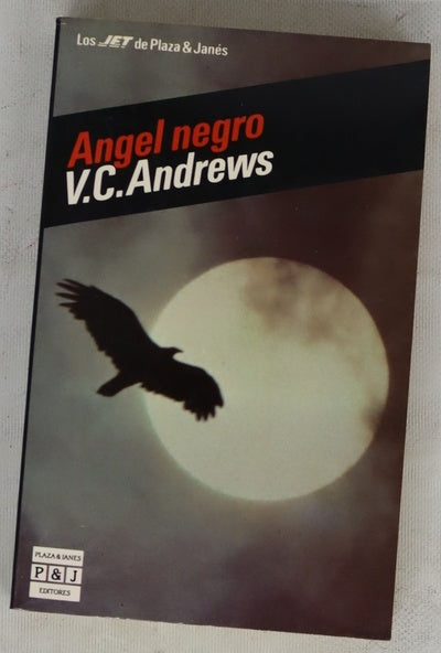 Ángel negro