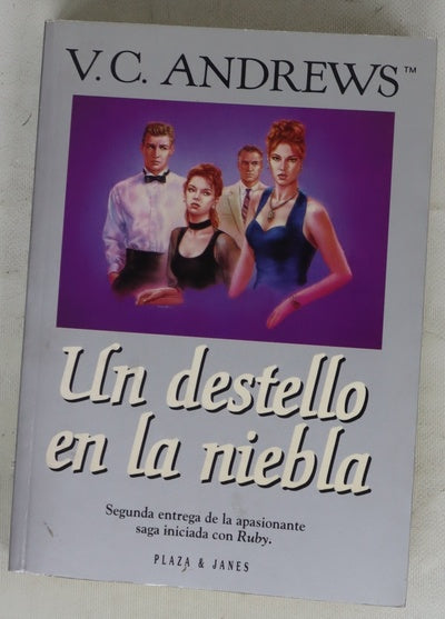 Un destello en la niebla
